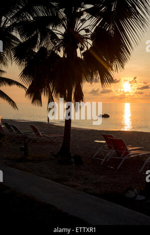 Sunset with water reflection color, showing the beach, Caribbean sea, and tropical palm trees. One person swimming. St. Croix, U. S. Virgin Islands. Stock Photo