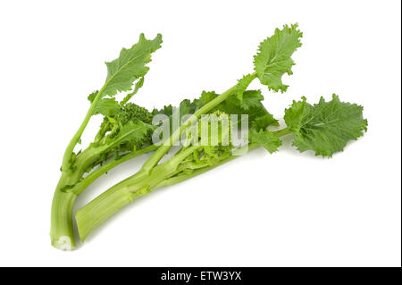 Fresh  rapini or broccoli rabe  isolated on white background Stock Photo