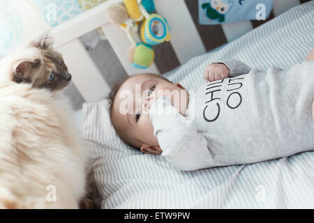 Baby lying in crib with cat Stock Photo