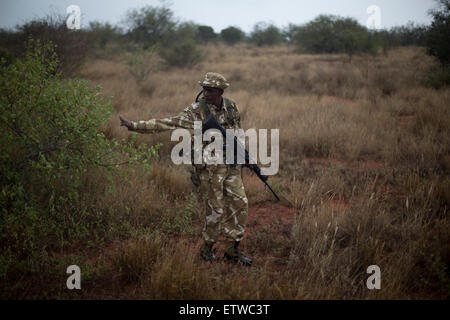 Kenya Wildlife Ranger Nelson Munga from the anti poaching unit during a patrol in the Tsavo East game park in Kenya 9 June 2013. PHOTO/KAREL PRINSLOO Stock Photo