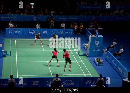 Indonesia vs. Malaysia Badminton doubles final game at the 28th SEA Games, Singapore Stock Photo