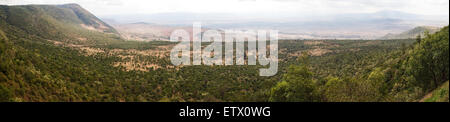 Kenya Landscapes Travels Safaris Wildlife Animals Mount Kilimanjaro ...