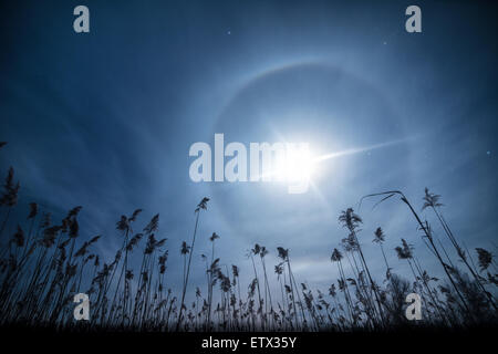 Moon clock -unusual full moon halo light with cane silhoettes Stock Photo