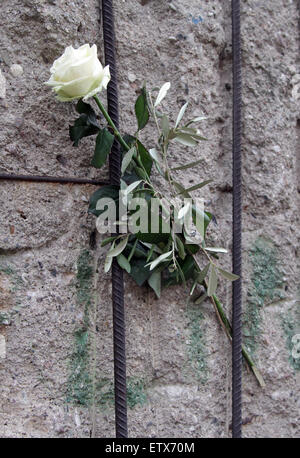 Berlin, Germany, white rose in memory of the victims of German division at the Berlin Wall Memorial Stock Photo