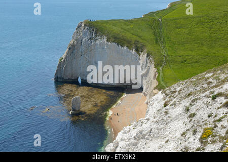 Chalk Cliffs of Bat's Head & Butter Rock viewed from  Swyre Head, Dorset Stock Photo