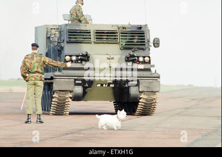 39th Regiment Royal Artillery, part of 1st Artillery Brigade, aka The Welsh Gunners,  showcase their Multiple Launch Rocket System at Albemarle Barracks, Northumberland, 9th November 1995. Pictured, Judy, the West Highland Terrier, owned by Regimental Ser Stock Photo