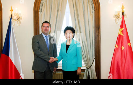 Prague, Czech Republic in Prague. 15th June, 2015. Chinese Vice Premier Liu Yandong (R) meets with Jan Hamacek, president of the chamber of deputies of the Czech Republic in Prague, June 15, 2015. © Qian Yi/Xinhua/Alamy Live News Stock Photo