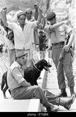 Oscar the four year old labrador adopted by Zulu Company of the Royal Marines seen here on patrol in the Radfan Mountains, Aden. Soldiers from 45 Commando are seen here directing suspected insurgents whilst Oscar looks on. 30th June 1967 Stock Photo