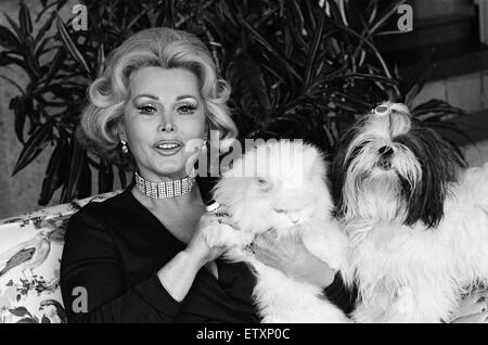 Zsa Zsa Gabor feature for the Sunday Mirror. January 1973. Stock Photo