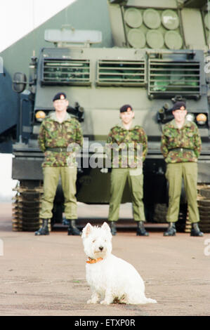 39th Regiment Royal Artillery, part of 1st Artillery Brigade, aka The Welsh Gunners,  showcase their Multiple Launch Rocket System at Albemarle Barracks, Northumberland, 9th November 1995. Pictured, Judy, the West Highland Terrier, owned by Regimental Ser Stock Photo