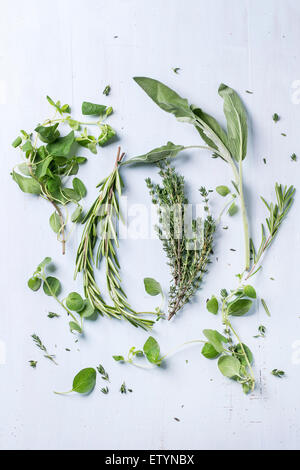 Assortment of fresh herbs thyme, rosemary, sage and oregano over light blue wooden background. Top view Stock Photo