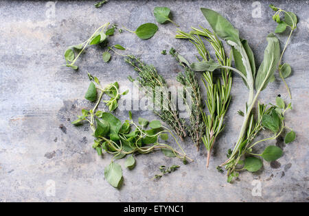 Assortment of fresh herbs thyme, rosemary, sage and oregano over gray metal background. Top view Stock Photo