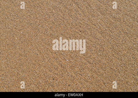 Close up detail of gold and warm sand grains on a beach, creating pleasant pattern. Stock Photo