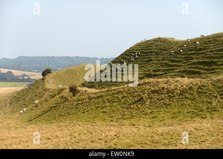 Maiden Castle Iron Age hill fort, Dorset. Massive ramparts and ditches of the earthwork defences of the north western quarter Stock Photo