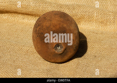 Theobroma grandiflorum on burlap Stock Photo