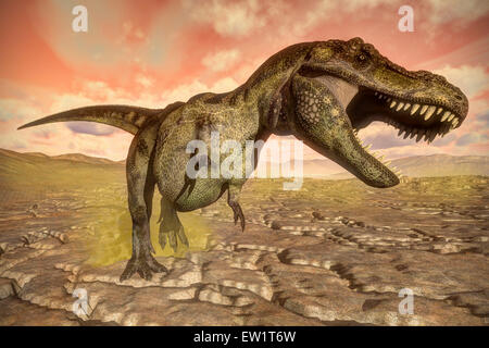 Tyrannosaurus rex roaring. Stock Photo