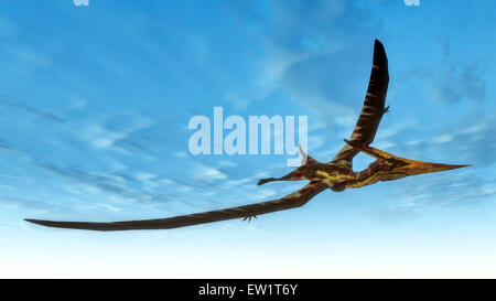 Pteranodon bird flying in blue sky. Stock Photo