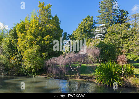 Miyazu Japanese Garden, Nelson, South Island, New Zealand Stock Photo