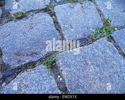 Blue stone texture background Stock Photo