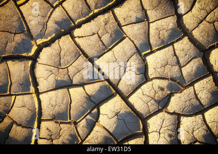 Dry ground texture. Element of design. Stock Photo