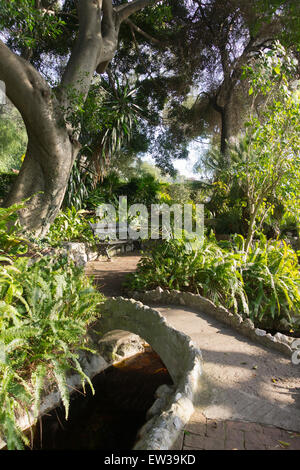 Gibraltar Botanic Gardens Stock Photo