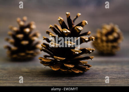 Three pine cones nice and dry on brown wooden table Stock Photo