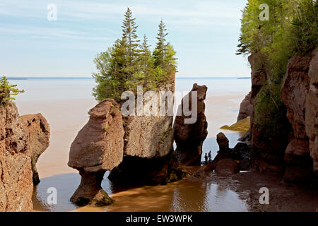 Bay of Fundy, New Brunswick, Canada Hopewell Rocks beach at low tide with tourists walking beach. Stock Photo