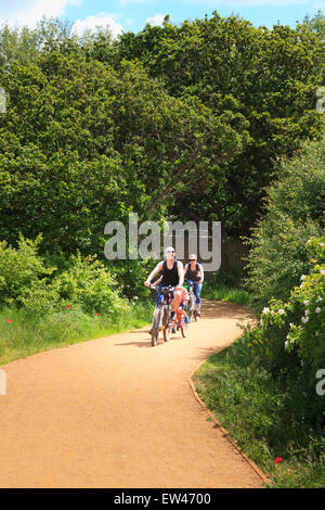 A family of cyclists riding on a cycle path in summer sun Stock Photo