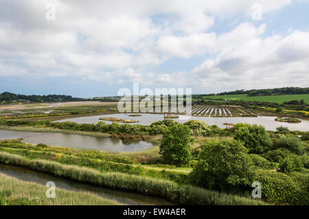 The RSPB nature reserve at Hayle Estuary in Cornwall, England, UK Stock Photo