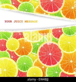Fruity slices chaotically mixed background. Lemon, lime, orange and grapefruit art cocktail Stock Vector
