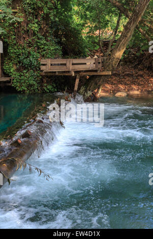 Small lake flowing like waterfall among big jungle trees in Yuvarlak Cay in Mugla. Stock Photo
