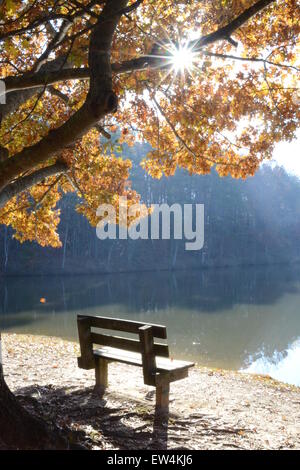 Sweetwater Creek state park Georgia Stock Photo - Alamy