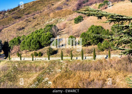 Dirt road, lined by cypress trees in the hills of cultivated fields in a winter sunny day. Stock Photo