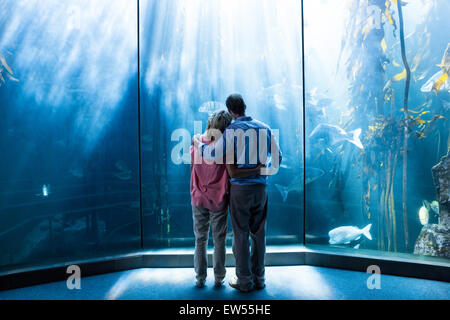 Wear view of couple looking at fish in the tank Stock Photo