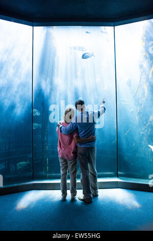 Wear view of couple looking at fish in the tank Stock Photo