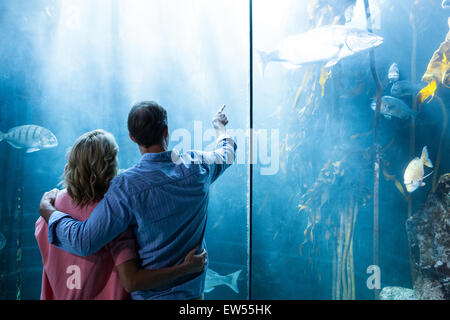 Couple looking at fish in tank Stock Photo