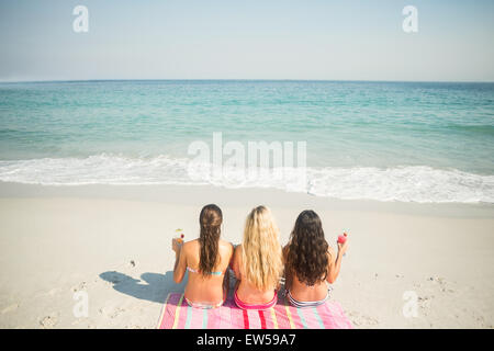 group of friends in swimsuits Stock Photo