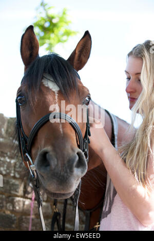 A young woman putting a bridle on a horse Stock Photo