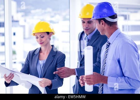 Architects discussing their plans Stock Photo