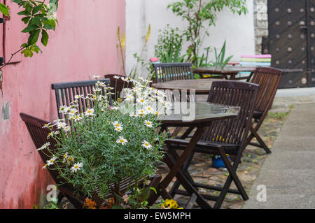 Outdoor terrace on courtyard with wooden furniture and camomile Stock Photo