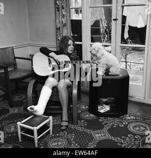 Friday the 13th wasn't a lucky day for 20-year-old singer Sandy Denny, for that was the day she fell off the stage after giving a concert at the Toad Hall Folk Club in East Ham. Sandy is pictured resting at home with her pet poodle, Lucy. 17th October 196 Stock Photo