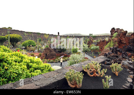 Lanzarote, Canary Islands. Various cactuses growing in a cactus park designed by the artist Cesar Manrique. Stock Photo