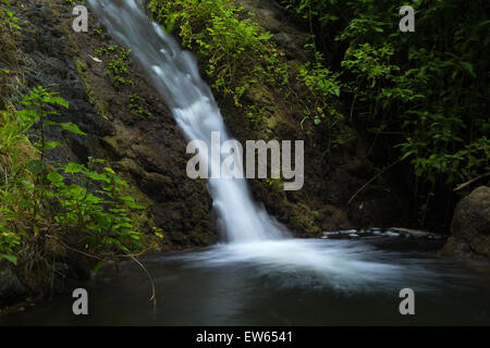 Gran Canaria, nature reserve Barranco de Azuaje between Moya and Firgas, one of very few water springs on the island, small casc Stock Photo