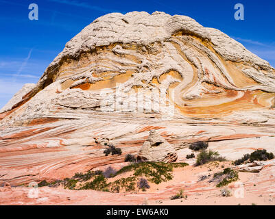 Scene from the White Pocket geological area of Vermillion Cliffs National Monument, Arizona. Stock Photo