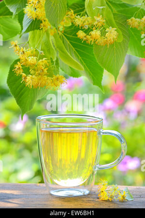 cup with linden tea and flowers on wooden table in garden Stock Photo