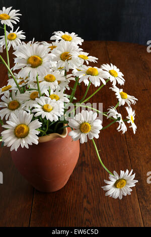 Daisy bouquet in nature brown clay vase dark background with white flowers