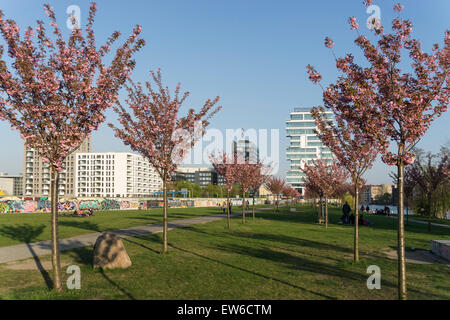 East Side  Park , Berlin Wall Piece, backside of  East Side Gallery, Skyscraper Living Levels, Cherry Blossom Stock Photo