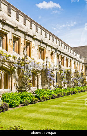 OXFORD CITY MAGDALEN COLLEGE WITH WISTERIA IN BLOOM OUTSIDE THE CLOISTERS AND STATUES AND GARGOYLES ALONG THE WALL Stock Photo
