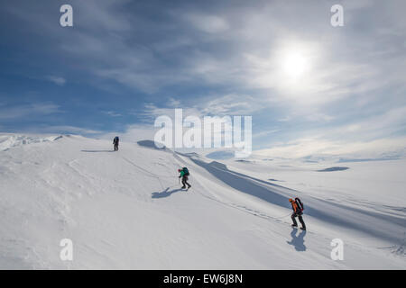 Members of the Joint Antarctic Search and Rescue Team train near crevasses on Ross Island, Antarctica. Stock Photo