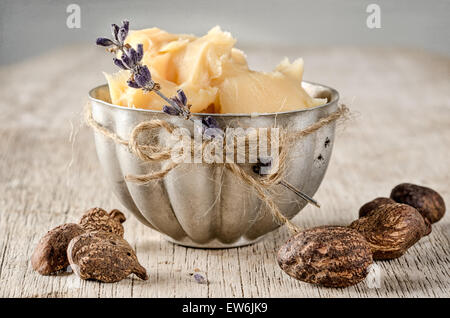 Cup of shea butter with shea nuts Stock Photo